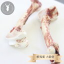 北海道産 熟成蝦夷鹿 大腿骨 1本 　　　　　犬用 無添加 鹿肉 犬用 猫用 ジビエペットフード 国産 ダイエット ヘルシー 中型犬 小型犬 食欲 愛犬 高級 愛犬 食欲 贈答 元気 シカニク 食欲不良 歯