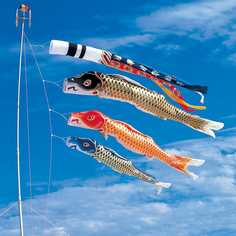 Carp Streamer - 江戸錦鯉　瑞祥吹流し〈20号〉Cタイプスタンド付ホームセット（水袋付）錦鯉　ワタナベ鯉のぼり