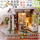 【P10倍 2点以上350円OFF 】 【 日本語説明書 】1/24 ドールハウス ミニチュア 手作りキット セット 小型 初心者 犬 と 暮らす部屋 LEDライト アクリルケース ( 旅行の準備 )