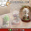 【P5倍&2点以上8%OFF!!】【日本語説明書】 ドールハウス ミニチュア 手作りキットセット DIY ミニ テラリウム | 手のひら サイズ 超小型 初心者...
