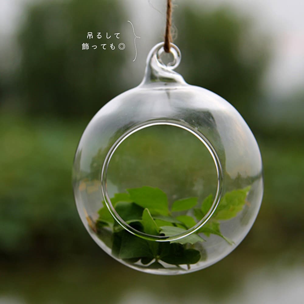 送料無料 花 かべかけ かべ掛け ウォールシェルフ ガラス ガーデン ハンギング フック フラワー フラワーベース ベース ベーステラリウム ボトル ボール 丸い 吊るす 壁かけ 壁掛け 壁掛け棚 棚 水耕栽培 球体 直径12cm 花器 花瓶 観葉植物 高級な フラワー