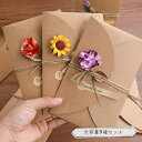 最短当日出荷◆メッセージ カード 手紙 レター 母の日 2way フラワー 花 一輪 フラワー グリーティング カード+封筒+シール+紐+花 9種セット/Mサイズ 17.4×11cm/ひまわり 薔薇 ブラウン カーネーション