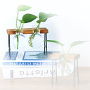 【P10倍&2点以上8%OFF!!】フラスコ 花瓶 一輪挿し 植木鉢 ガラス 木製フレーム おしゃれ アイアン (ブラウン ボトル 2ヶ)