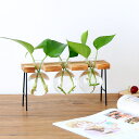 最短当日出荷◆フラスコ 花瓶 一輪挿し 植木鉢 ガラス 木製フレーム おしゃれ アイアン (ブラウン ボトル 3ヶ)