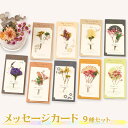 【P10倍&2点以上8%OFF!!】メッセージ カード ドライフラワー 花 9種セット 封筒付/型抜き シルエット 影絵 カラフル シック おしゃれ Best ...