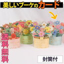 最短当日出荷◆メッセージ カード グリーディング 封筒付/3D 飛び出す お祝い ポット 入 キラキラ レトロ 花束 フラワー 花 華やか アサガオ ポピー