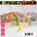 【P10倍&2点以上8%OFF!!】メッセージ カード グリーディング 封筒付/3D 飛び出す お祝い ポット 入 キラキラ レトロ 花束 フラワー 花 華やか...