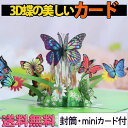 最短当日出荷◆グリーディングカード ちょうちょ 蝶 幻想的 バタフライ 楽園 ファンタジー お花畑 花 絵本 飛び出す 3D/ポップアップ カード+ミニ メッセ...