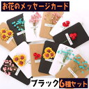 【P5倍!!】最短当日出荷◆メッセージ カード 6種セット/グリーディング 14×9.5cm 手紙 レター ドライフラワー 花 フラワー ブラック ひまわり 薔...