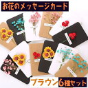 【P5倍!!】最短当日出荷◆メッセージ カード 6種セット/グリーディング 14×9.5cm 手紙 レター 花 フラワー ブラウン ひまわり 薔薇 ローズ カス...
