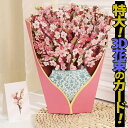 【P10倍&2点以上8%OFF!!】メッセージ グリーディング カード 花 封筒+ミニカード 付/紙の枯れない 花束 ブーケ 桜 さくら ピンク 立体 3D リ...