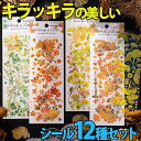 【P10倍&2点以上8%OFF!!】シール ステッカー 全面 秋の紅葉 12種セット/花 きらきら 箔押し 美麗 大量/オレンジ レッド イエロー どんぐり も...