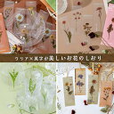 moin-moin:10001697のサンプル画像2