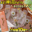 moin-moin:10001697のサンプル画像3