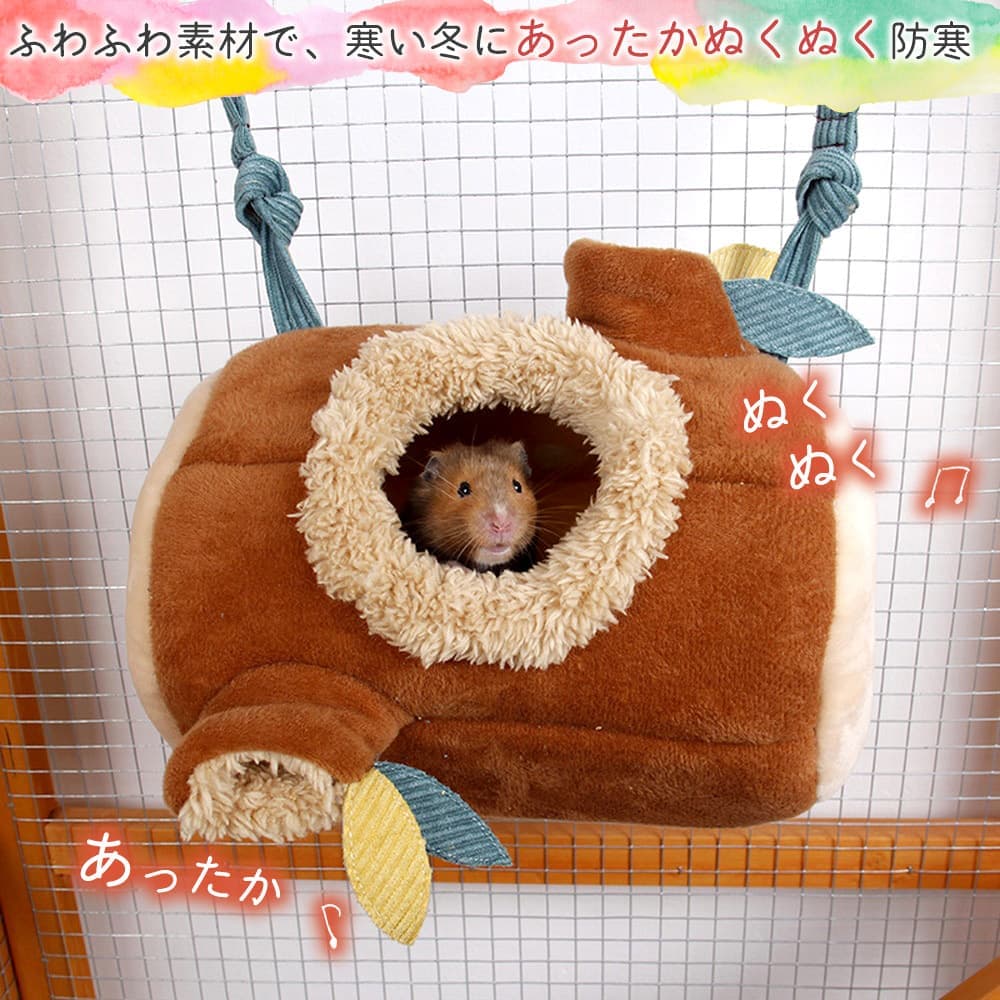 【P5倍!!】最短当日出荷◆ゴールデン ハムス...の紹介画像3