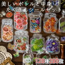 最短当日出荷◆シール フレーク ボトル 入 1種につき35枚×8種セット=280枚 大量セット 透明 クリア (蝶/パン ドーナツ/フルーツ いちご/ホワイト ...