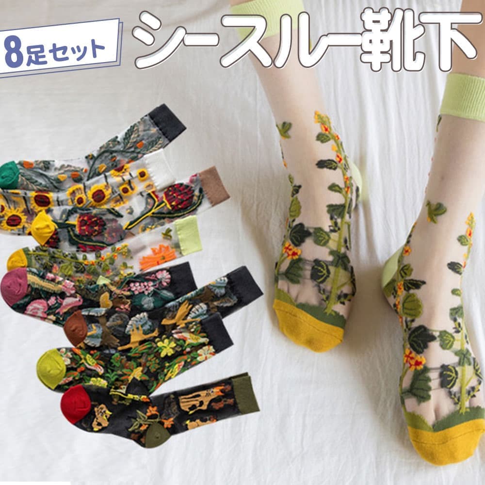 ��P10��!!�ۺ�û�����в٢����� ���å��� 8�� �������ȥ��åȡ��� �ե�ǭ Ļ �Ҥޤ�� �ۥ磻�� �֥�å� ��å� ���꡼�� �ƥǥ��٥��졼�� ������...