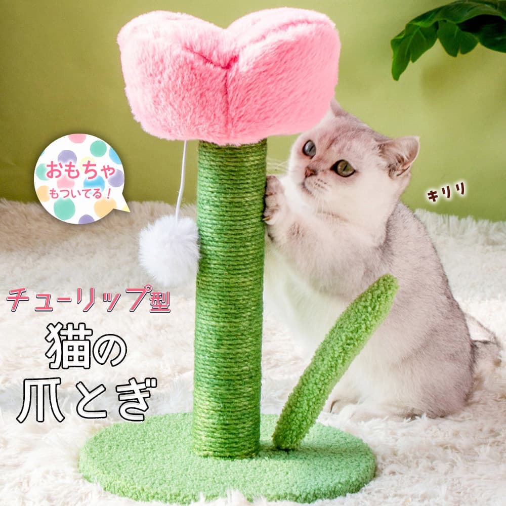 ��P10��!!�ۺ�û�����в٢�ǭ �ޤȤ� ���塼��å� �ԥ� �⤵40��ľ��25cm �� �ե� ������å��ݡ��� ��� �İ��� ����ƥꥢ ŷ�� �� ��...