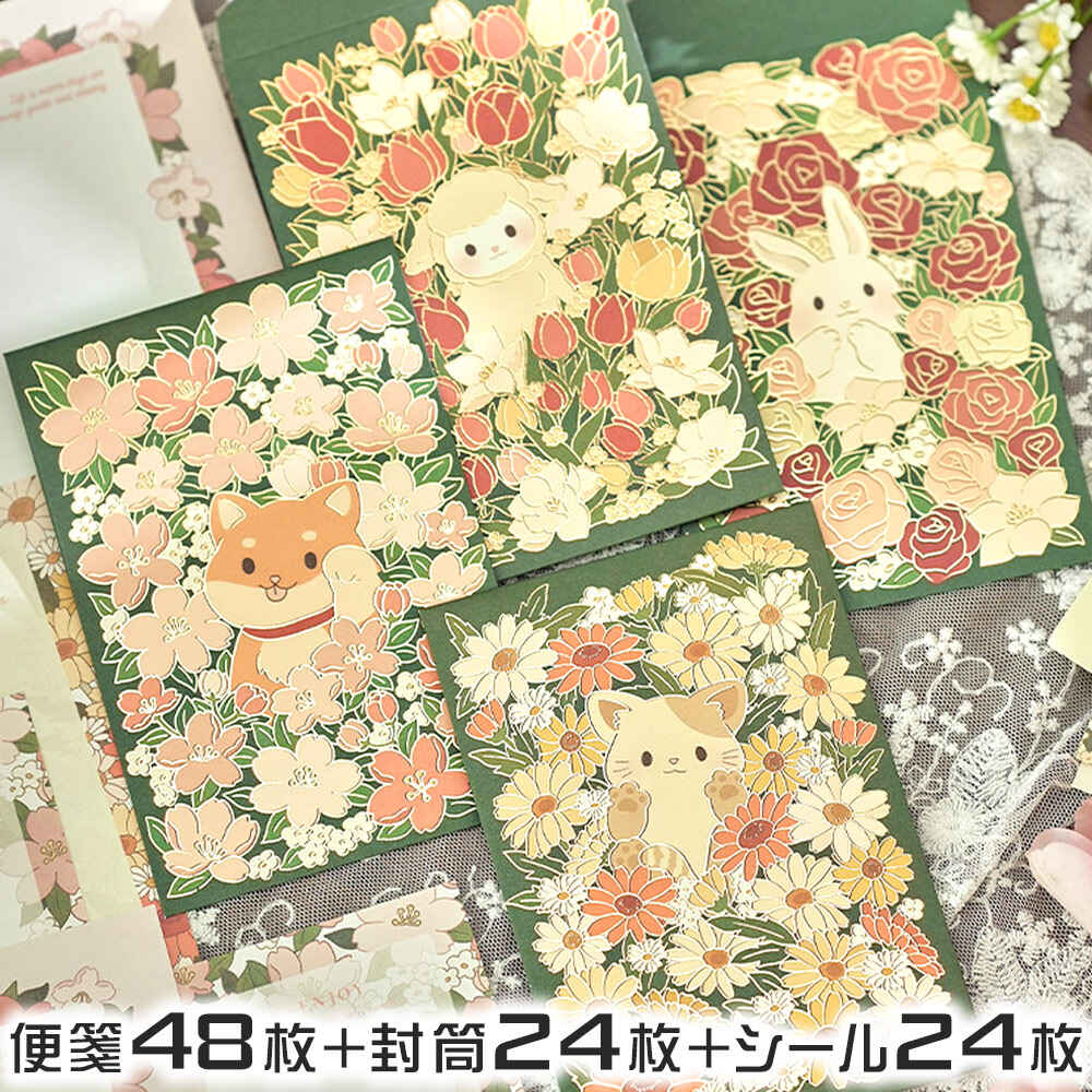 P5!!ۺûв٢쥿å   Ȫ ˥ޥ 8 (  48+ 24+α  24 ѥå) ȥ...