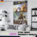 輸入壁紙 アクセントクロス ドイツ製インポート壁紙 【VD-026】Star Wars Moments Rebels［輸入壁紙 デザイン おしゃれ 海外 外国 不織布 壁紙 クロス のり付き DIY リフォーム ディズニー スターウォーズ ヨーダ R2-D2 C-3PO 内装］ CSZ