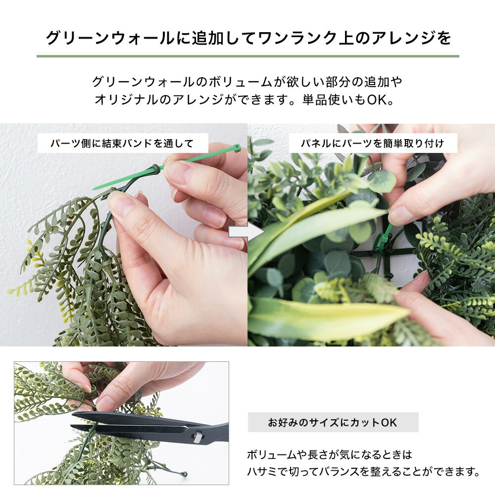 �ե��������꡼�� ������� ¤�� �� ���� �в� �ե��� �������륰�꡼�� �ѡ��� ¤�� �ɳݤ� �������Ѳ� ���տ�ʪ �ߤ뤹 �ϥ󥮥󥰥��꡼�� �桼�ե��ꥢ �ɲ���ñ�� C-F-3