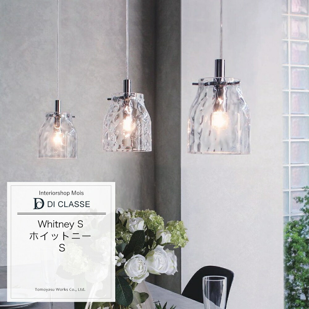 Vaulted Ceiling - ペンダントランプ DICLASSE Whitney S ホイットニー S ペンダントランプ 照明 ライト インテリア おしゃれ JQ