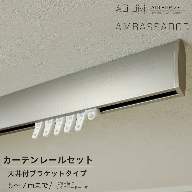 《即日出荷》 アイアンカーテンレール 天井付けセット 6〜7mまで[1cm単位サイズオーダー おしゃれ 高級感 シンプル 高級 男前 カーテン レール ハイエンド ドイツ製 ADIUM アディウム AMBASSADOR アンバサダー]