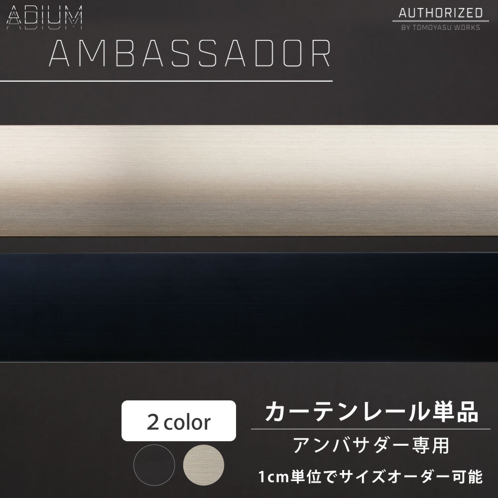 Iron - アイアンカーテンレール アンバサダー レール 0.5〜6mまで ADIUM[1cm単位サイズオーダー おしゃれ 高級感 シンプル 高級 男前 カーテン レール ハイエンド ドイツ製 ADIUM アディウム 部材 パーツ] C-F-3