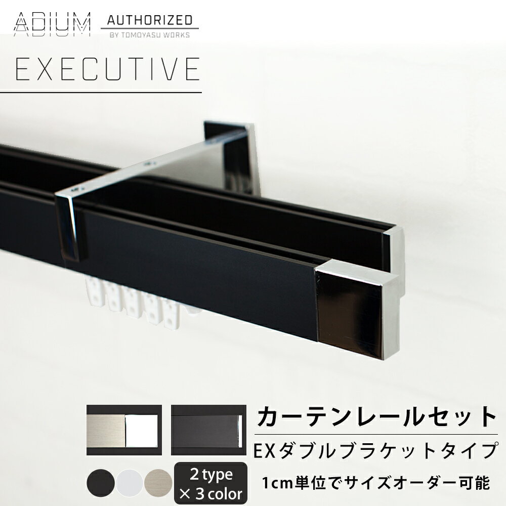 Iron - [お買い物マラソン限定クーポン] カーテンレール アイアンレール ADIUM エグゼクティブ EXダブルブラケット [0.5〜6mまで] 高級感 ラグジュアリー 大人 クール 長寿命 機能性 高品質 高機能 ドイツ製 伝統的 ロイヤル ホテル EXECUTIVE rail アディウム レール マット H-N-0
