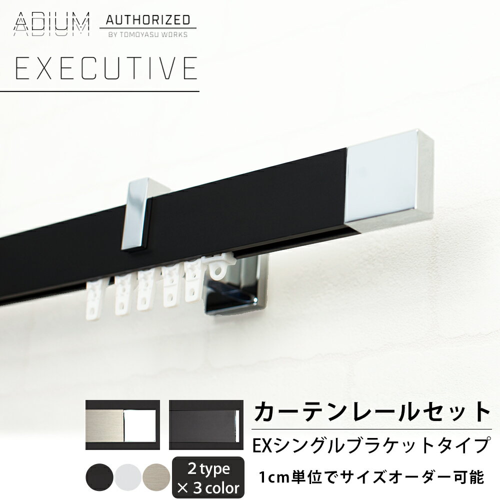 Iron - カーテンレール アイアンレール ADIUM エグゼクティブ EXシングルブラケット [0.5〜6mまで] 高級感 ラグジュアリー 大人 クール 長寿命 機能性 高品質 高機能 ドイツ製 伝統的 ロイヤル ホテル EXECUTIVE rail アディウム レール マット H-N-0