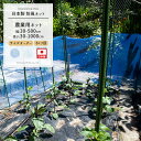 農業用ネット 6mm目 サイズオーダー 〜300cm×〜100cm[防風ネット ワイドラッセル ネット 網 農業 園芸 家庭菜園 資材 アグリ agri 遮光 ...