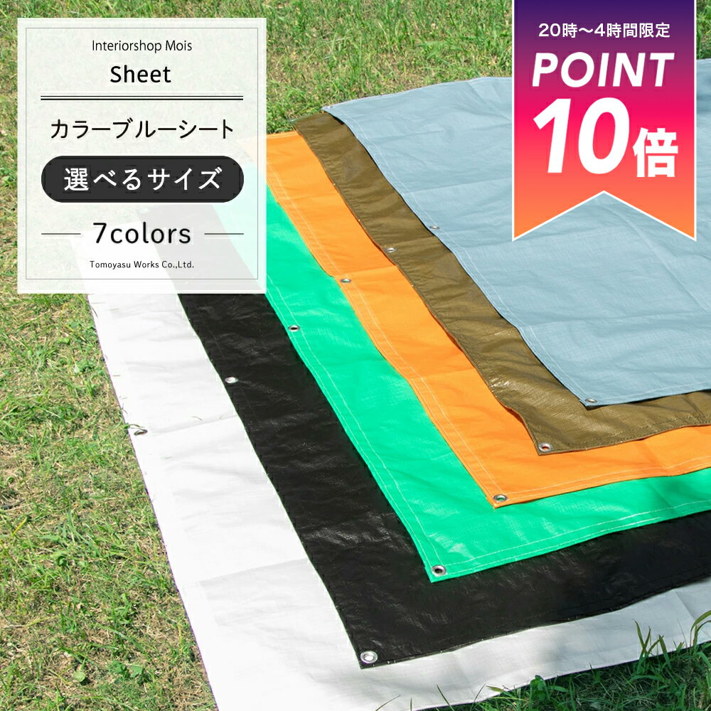 [25日限定ポイント10倍20～24時] レジャーシート おしゃれ カラーブルーシート 小さめ 大きめ ビニールプール キャンプ 車 フロント 日よけ 日除け お花見 海水浴 バーベキュー 雨よけ 日覆い 埃よけ 養生シート パレットカバー 運動会 FT JQ