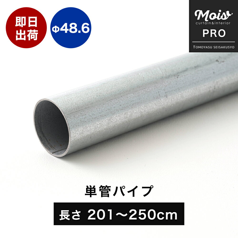 埋込金物（釘穴あり）　L6×65×65　150mm　【10個セット】ECP・ALCの埋め込み金物