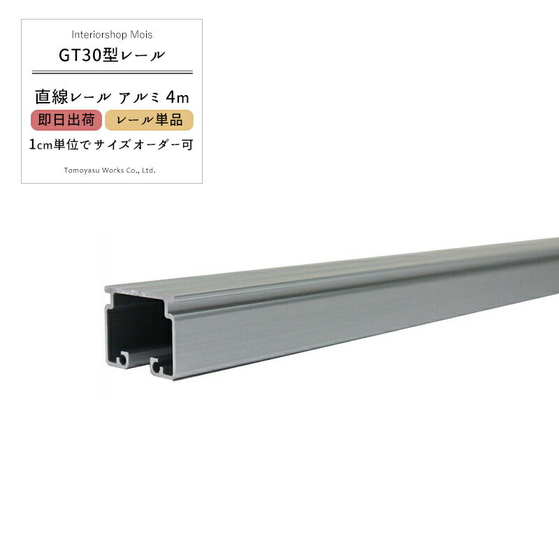 Rakuten - [6/1限定11%OFFクーポン配布] 《即日出荷》 大型レール 大型カーテンレール 業務用 工場 店舗 施設 GT30型専用 アルミ 直線レール4m 〈レール本体のみ〉【TT12L40-AS】サイズオーダー カット料金無料 ビニールカーテン ネットなどの取付に H-N-0