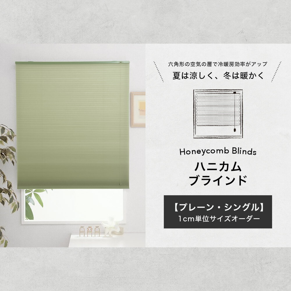 [サイズオーダー] ハニカムブラインド Bee Bee シングルプレーン[幅31〜60cm・丈91...