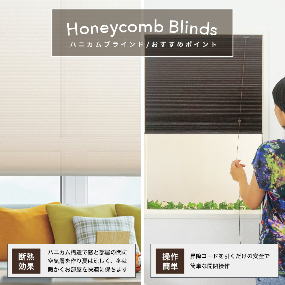 [��������������] �ϥ˥���֥饤��� Bee Bee ���󥰥�ץ졼��[��31��60cm����211��240cm] [�ϥ˥��෿ �����꡼�� ��Ǯ ��Ǯ �ݲ� �ʥ��� �֥饤��� �����꡼�� �� ���� �̲� ���� ������ ������� ����ƥꥢ ͧ�������] �᡼����ľ���� JQ