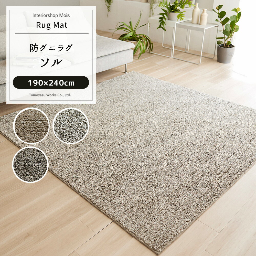 6帖用（261 cm×352 cm） - ラグ マット カーペット じゅうたん ラグ おしゃれ 北欧 デザイン 柄 スミノエ 洗える 長方形 無地 日本製 ラグ ソル 190×240cm JQ