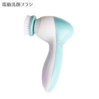 洗顔ブラシ 洗顔器 電動 防水 毛穴ケア 電動洗顔ブラシ 家庭用 クレンジングブラシ 毛穴ケア洗顔 ニキビ改善 人気の音波洗顔器　洗顔ブラシ 電動 美顔器/びがんき/美容家電/びようかでん エステ洗顔器 PL保険付き