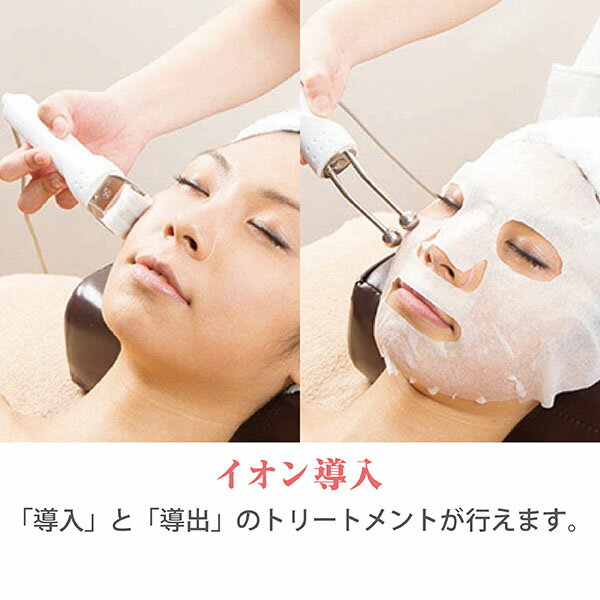 ���˥�ʣ���(5in1) SO-550