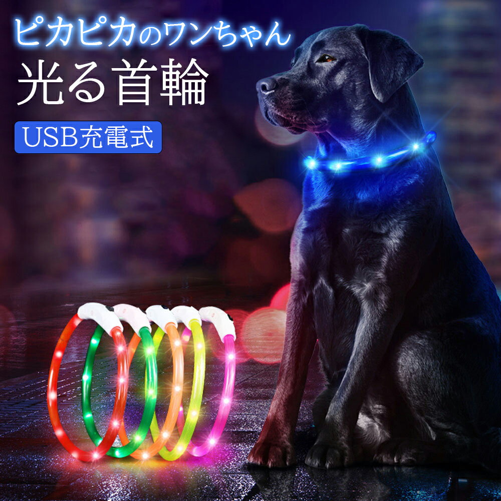 【送料無料】 犬 首輪 光る首輪 USB 