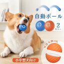 定形外(内)50g 送料無料 顔のイラスト入り 可愛いボール 2色セット 犬 猫 おもちゃ ボール 噛む プレイボール 笛入り 音 猫用 超小型犬 小型犬 犬用 楕円形