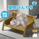 【母の日特典】 ペットベッド 藤編み 夏用ひんやり 接触冷感 通年 洗える 犬ベッド いぬベッド ねこベッド ネコベッド ベッド 猫 ねこ 冷感 ラタン 夏用 ...