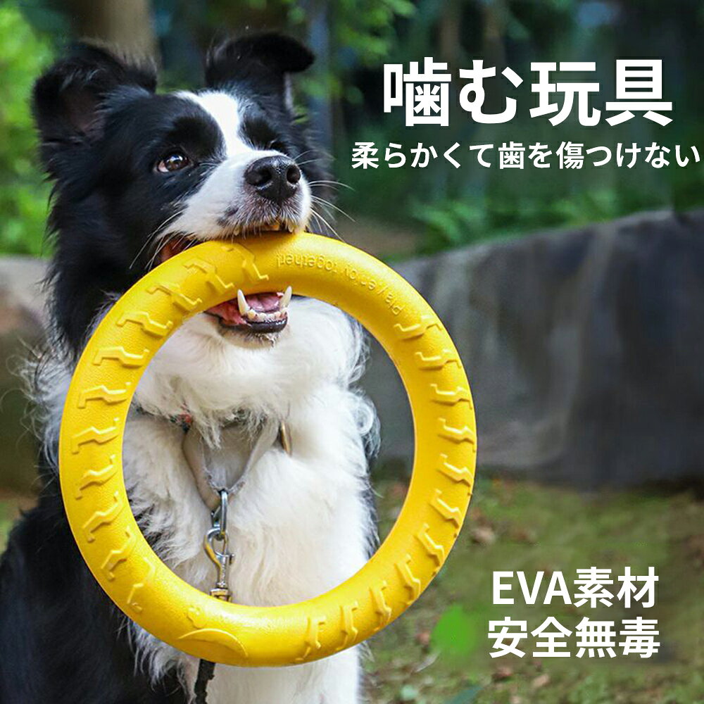 サンプル画像3
