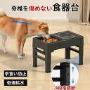 【母の日特典】 犬 餌台 ペット ペット食器 高さ調節 スタンド フードボウル 食器台 高さ 餌入れ ごはん台 こぼれ防止 中型犬 大型犬 食事台 組み立て簡単...