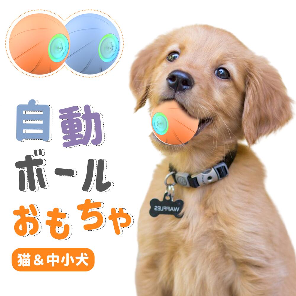 ドギーマン　わんぱくフレンド　ソフトボール　犬　犬用おもちゃ　ぬいぐるみ【HLS_DU】　関東当日便