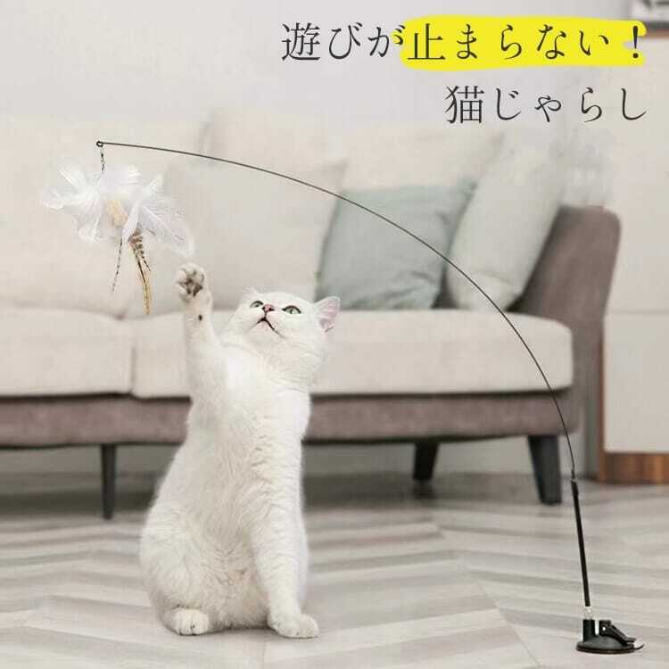 楽天moizze猫おもちゃ 猫じゃらし 遊び 吸盤 自己遊び 耐荷重 6kg 鈴 送料無料 取付簡単