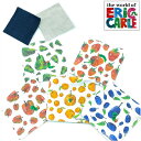 コースター 5枚セット W100mm×H100mm リバーシブル はらぺこあおむし ERIC CARLE エリックカール