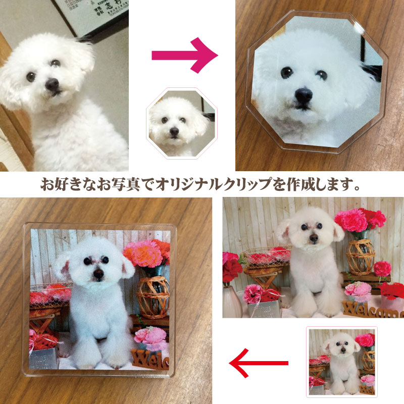 樂天商城 - アクリルクリップ 画像入れ対応 イラスト 贈り物 ギフト プレゼント 記念品 景品 父の日 敬老の日 退職祝 誕生日 内祝い 出産祝