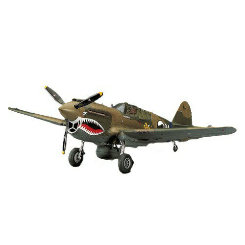 1/48 P-40E ウォーホーク プラモデル ハセガワ