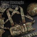 【店内全品3％オフクーポン】Haley Strategic D3CRHタイプ チェストリグ BK/OD/TAN/MC 【あす楽】